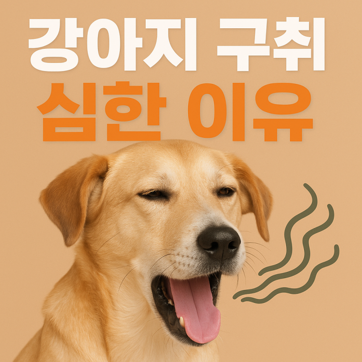  강아지 구취 심한 이유와 관리법