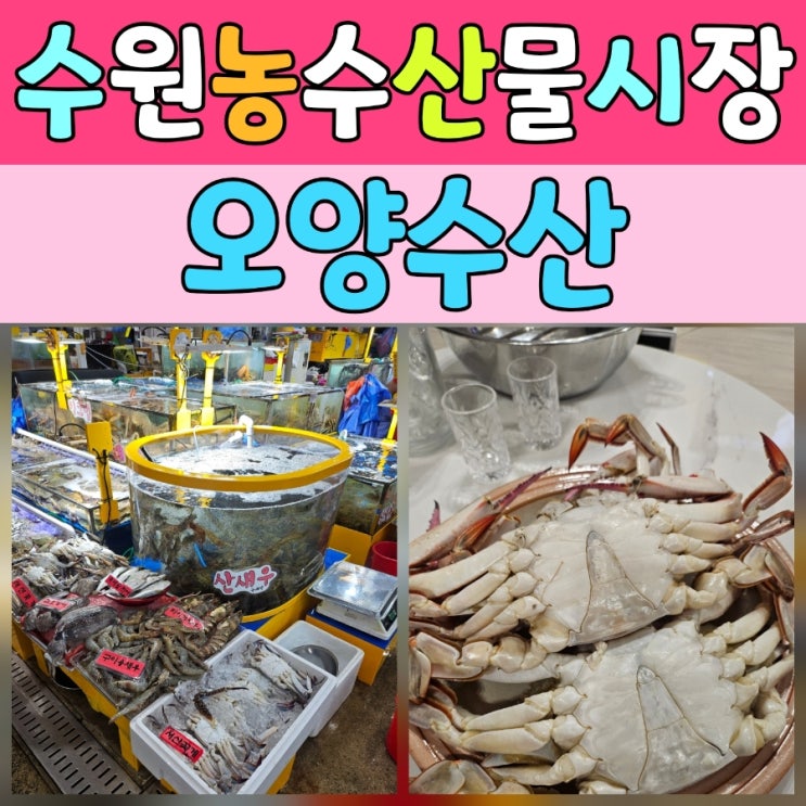  수원농수산물시장 대게 신선하게 즐긴 후기