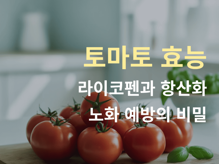  토마토 효능 완전 정리: 라이코펜과 항산화, 노화 예방의 비밀