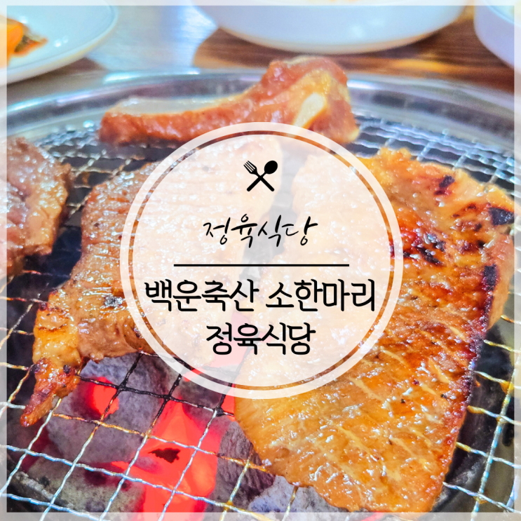  안양 돼지갈비 맛집 관양동 수촌마을 고기집은 여기로