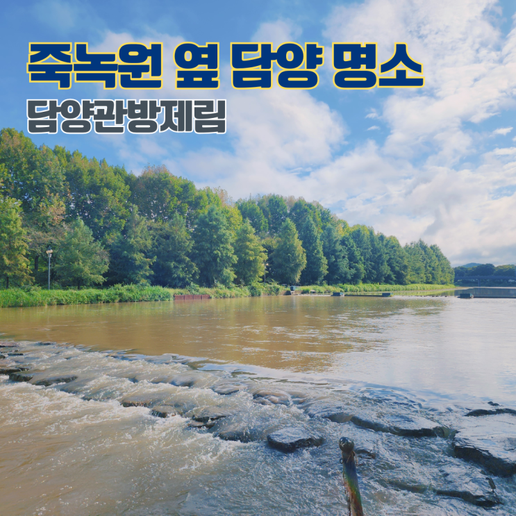 담양 관방제림 산책하기 좋은 곳 전남 여행지 담양 명소 가볼만한 곳