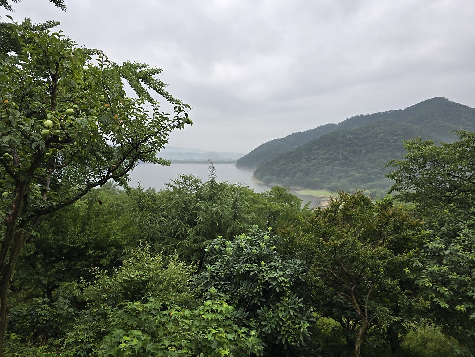 제비산 사진 5