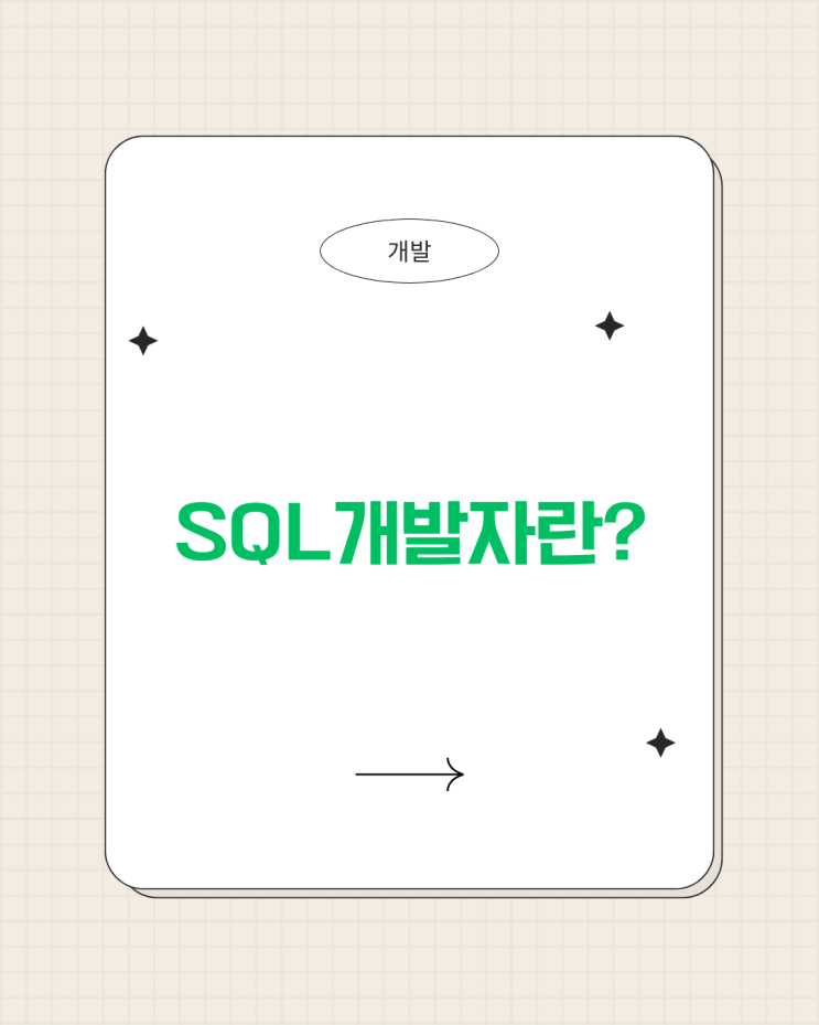  SQL개발자란?