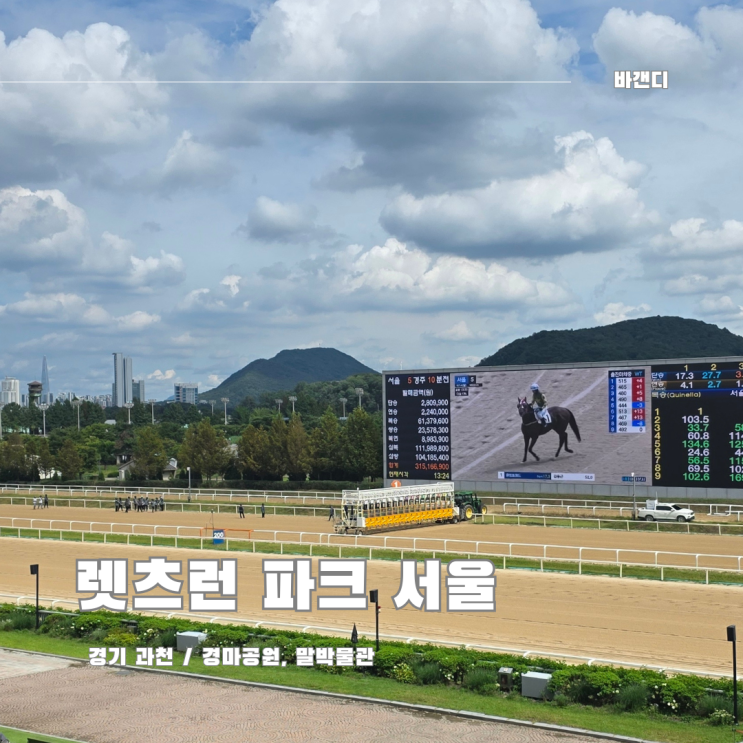 렛츠런 파크 서울 / 주차, 무료 입장권 원데이패스 꿀팁, 말박물관