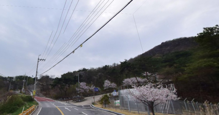  여주 강천면 2차선 도로접! 근생/전시장/창고/주택부지 가능한 3,300 임야 (4억 2천만 원)