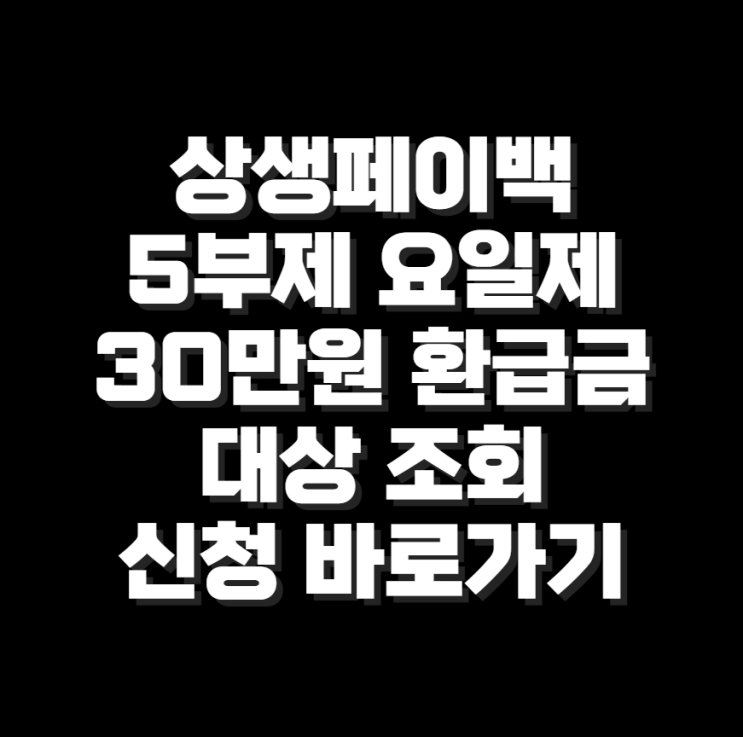 <b>상생페이백</b> 요일제 신청 기간 방법 <b>환급</b> 30만원 확인 총정리