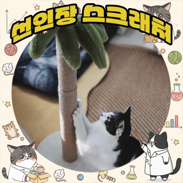  고양이 야자수 수직 스크래쳐 테무템 기둥교체 DIY