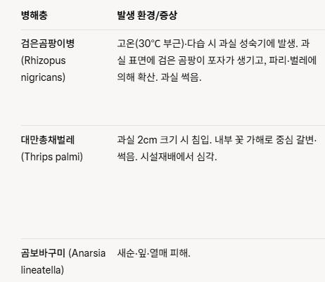  무화과농장 환경개선 및 살균소독, 퓨어오투 이산화염소수 적용과 기대효과