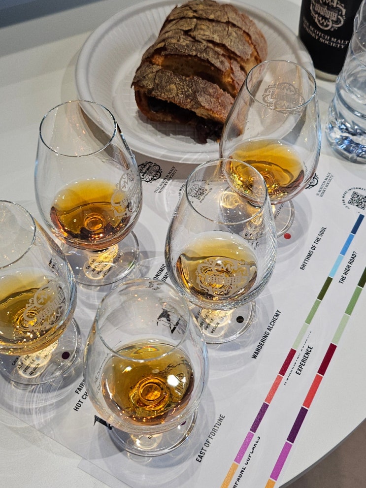  2025 SMWS 게더링 페스티벌 후기