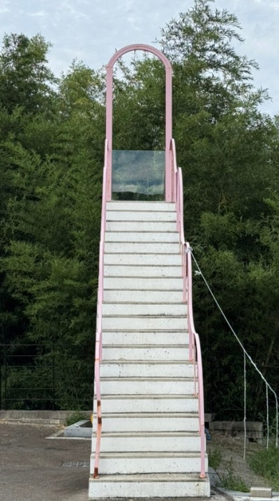 사진 3