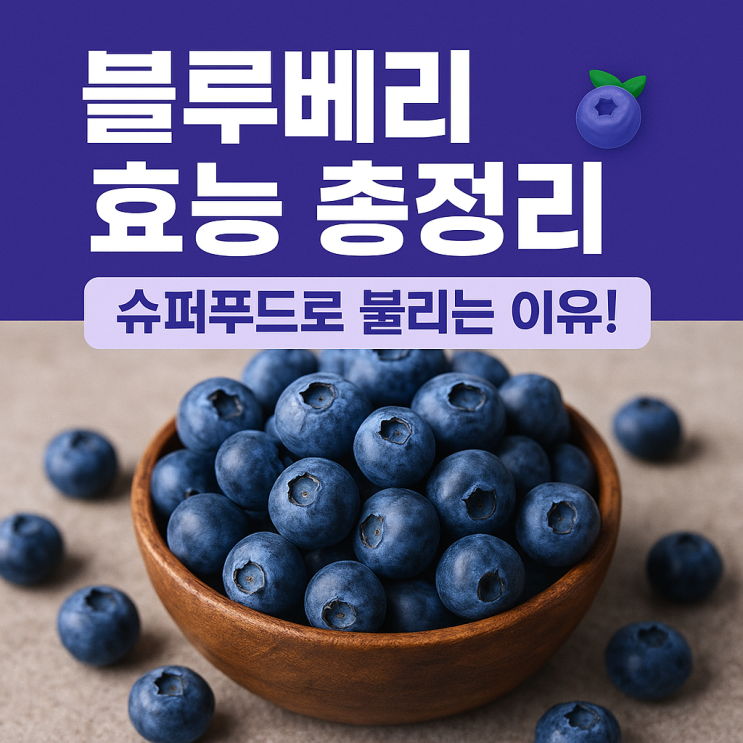  블루베리 효능 총정리  슈퍼푸드로 불리는 이유!