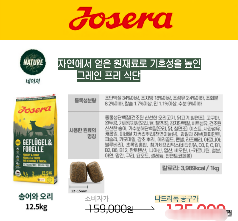 사진 5