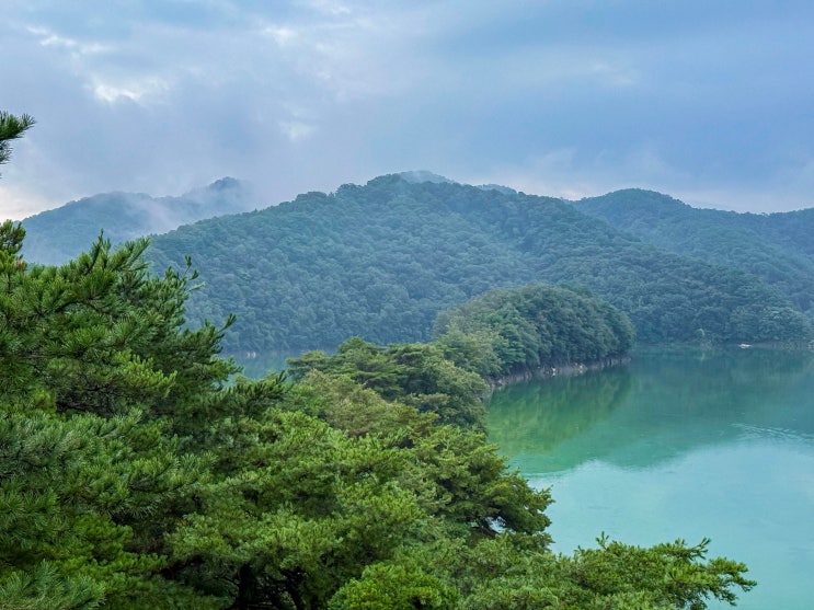  옥천 가볼만한곳, 부소담악 (둘레길, 주차장, 입장료)
