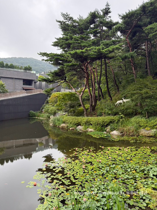  유튜버 세금  유튜버 수익과 비용처리