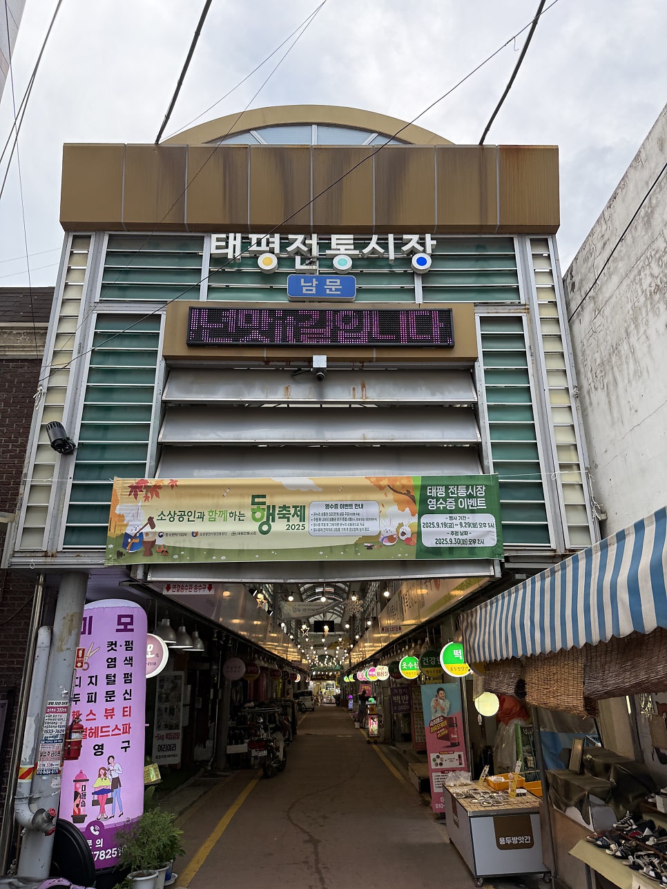 명작수제만두 사진 3
