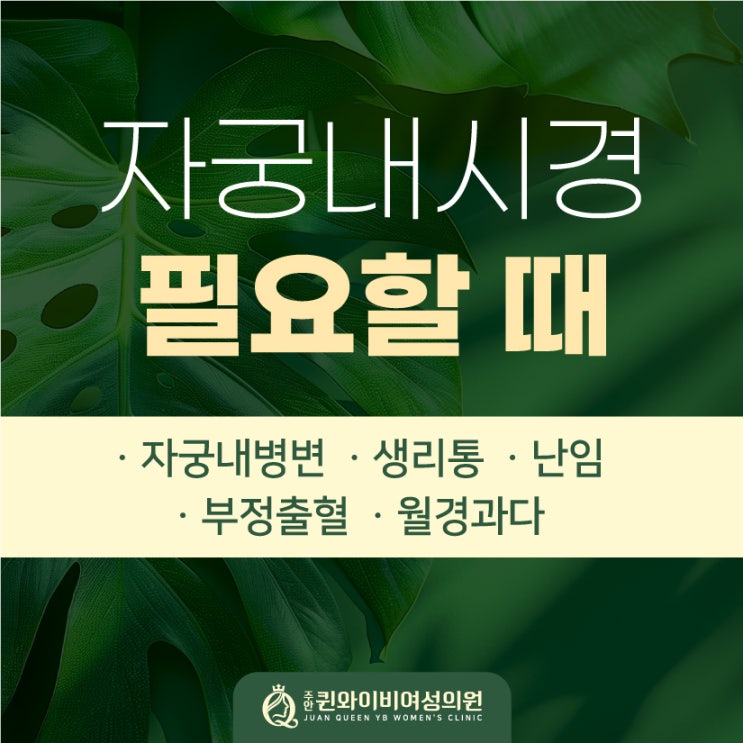  주안역산부인과 자궁내시경 필요할때 난임, 용종