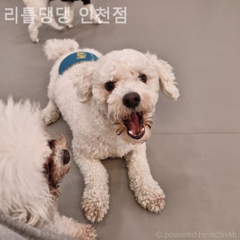 사진 3