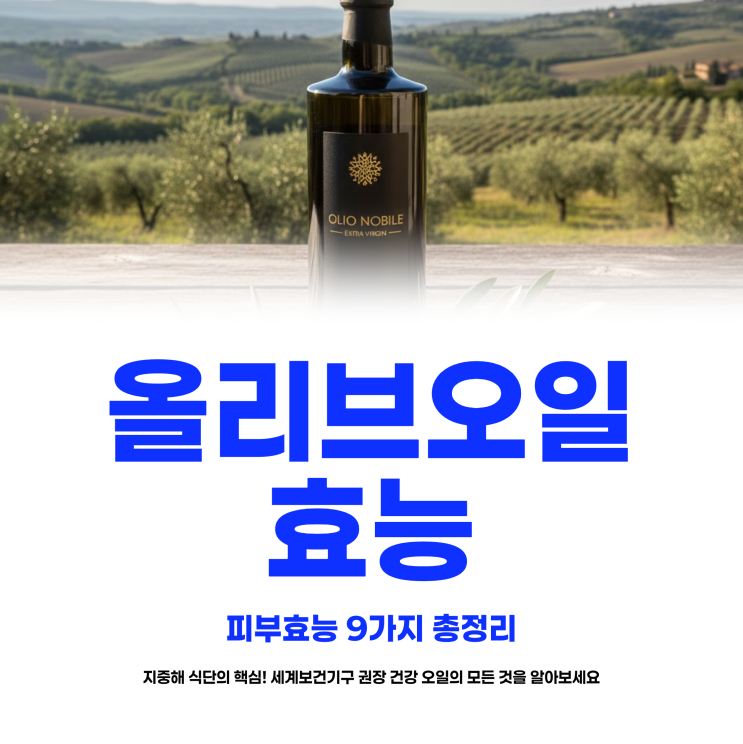  올리브오일 효능 피부효능 9가지 총정리 및 추천