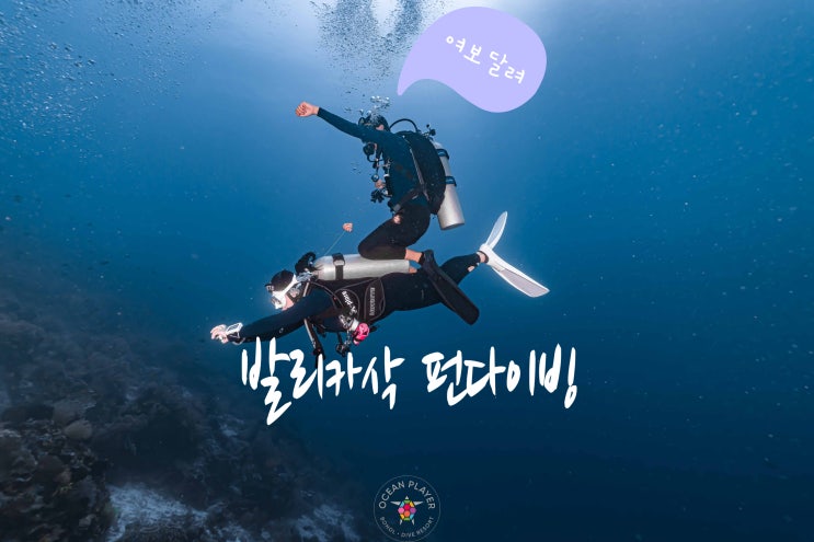  [보홀 펀다이빙] 보홀 발리카삭, 알로나 난파선 펀다이빙 - with 오션플레이어보홀 kai
