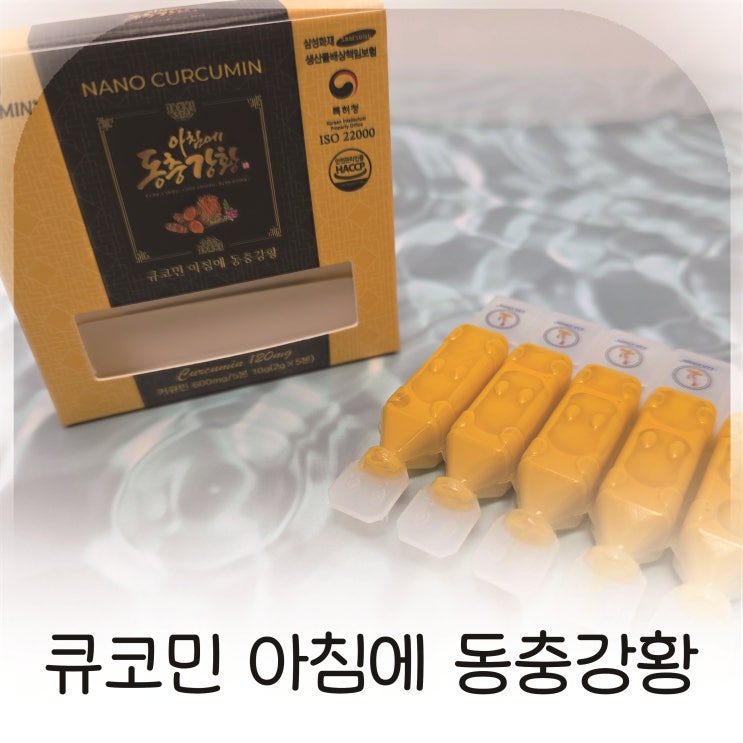  커큐민효능 직접 체감한 면역력 관리 루틴