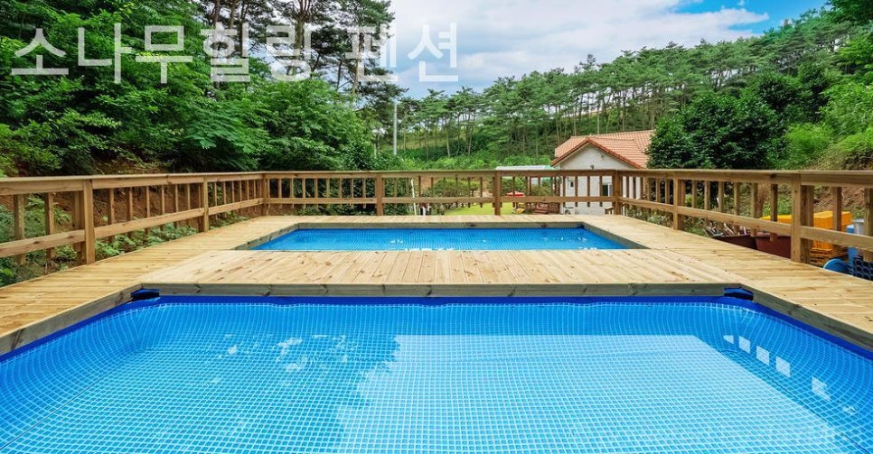 소나무힐링펜션 사진 2