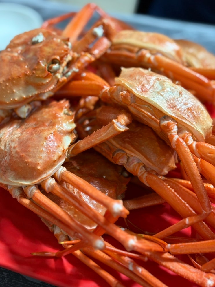  포항 두호동 맛집 영일대 근처 포항홍게무한리필 가격