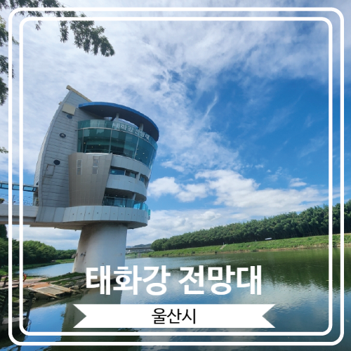  [태화강 전망대] 태화강이 한 눈에 들어오는 울산 남구의 대표 뷰 맛집