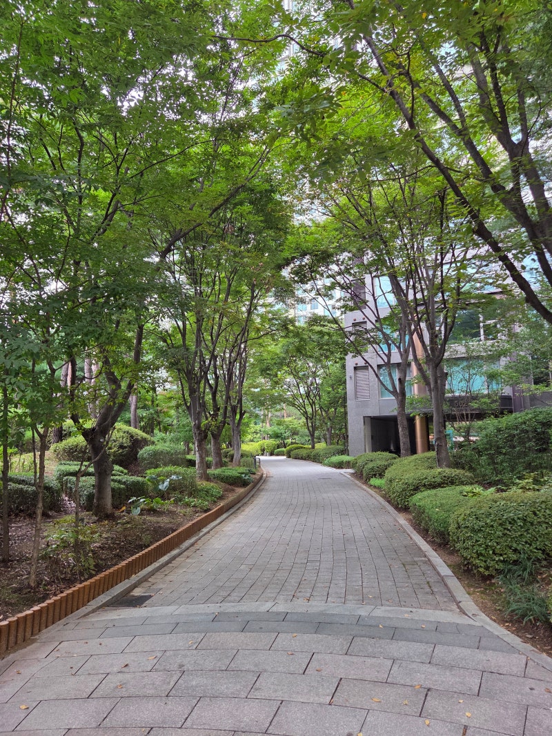 정책지식 2025.9.17. : 네이버 블로그