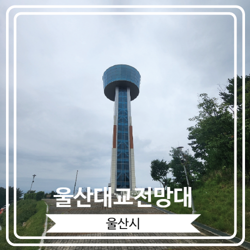  [울산대교전망대] 울산대교와 울산 산업단지 및 울산의 7대 명산을 한번에 감상할 수 있는 곳