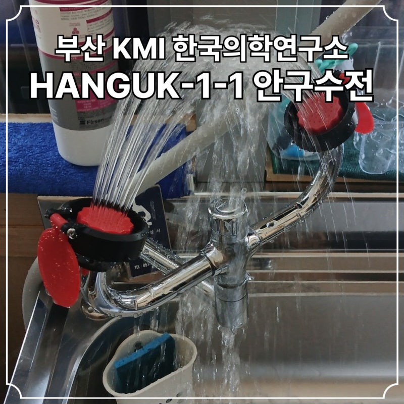 실험실 안구수전 눈세척기 【 HANGUK-1-1 】 설치 시공 #183 부산 KMI 한국의학연구소