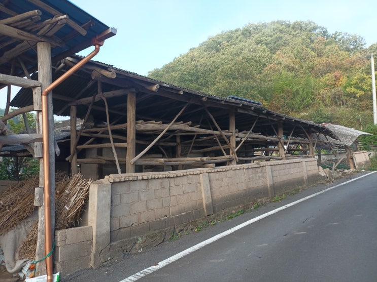  경주석면철거 슬레이트 석면해체 제거 석면조사