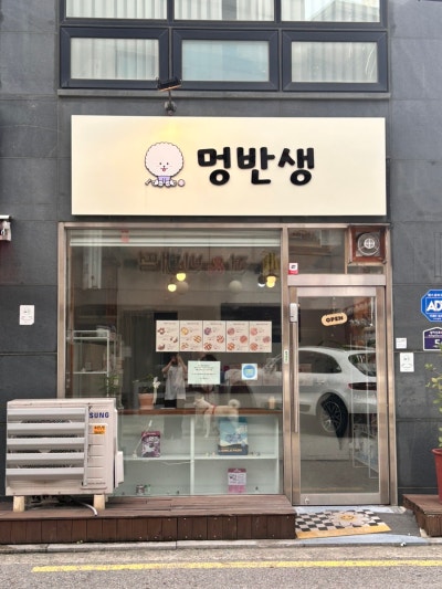 사진 10