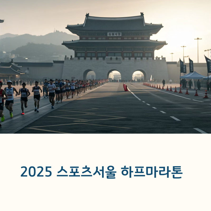 2025년 스포츠서울 하프마라톤, 참가 전 꼭 알아야 할 정보 총정리