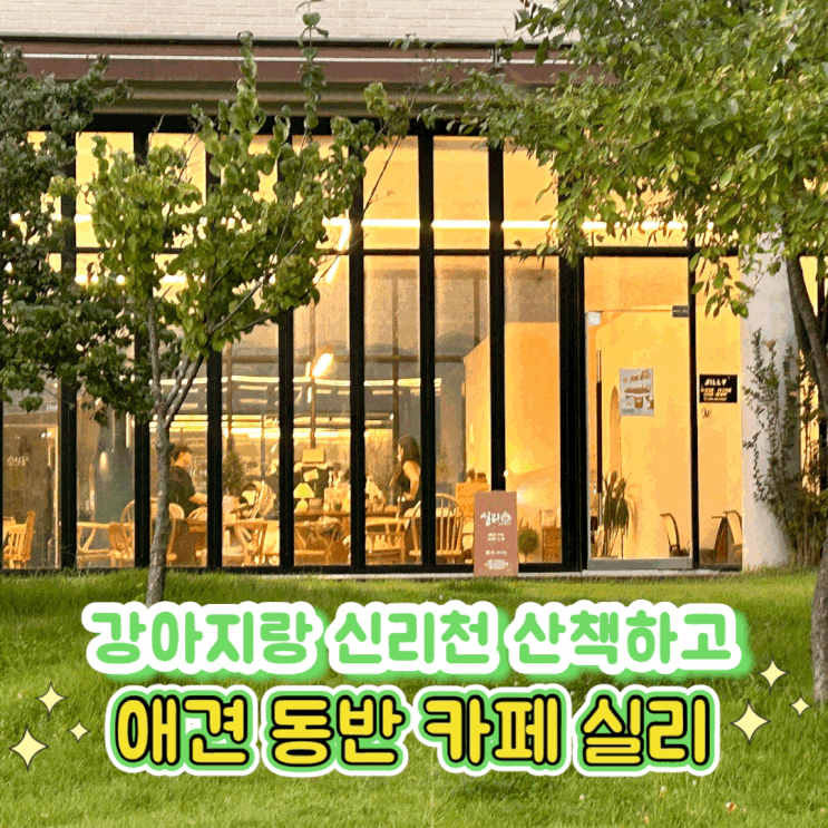  동탄 신리천 대형견도 환영하는 애견 동반 카페 실리