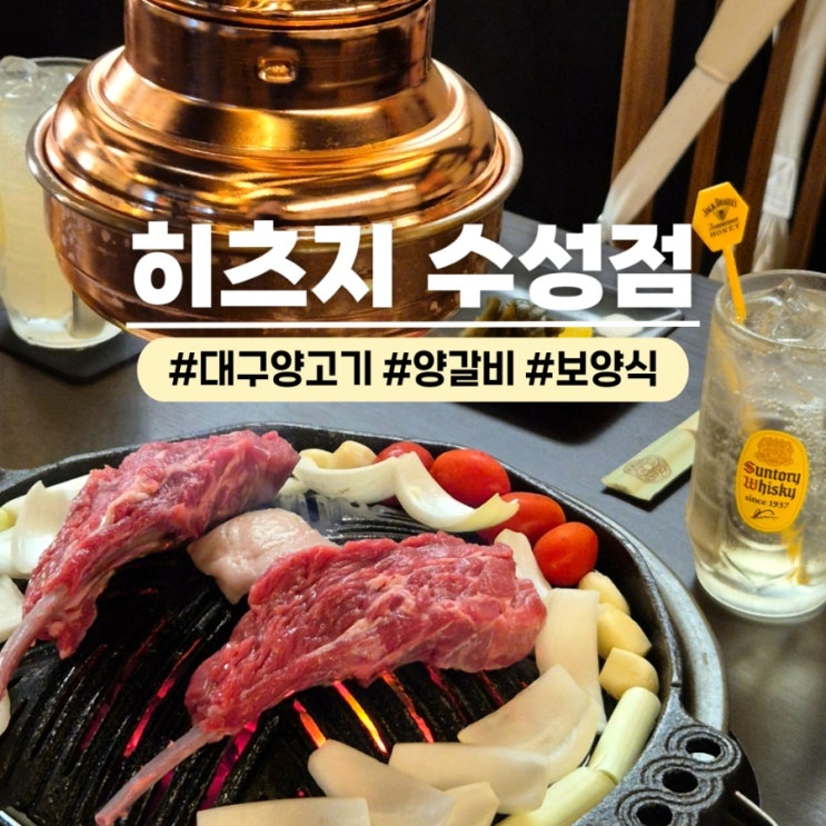  대구양고기 히츠지 수성점 구워주는 양갈비맛집 추천