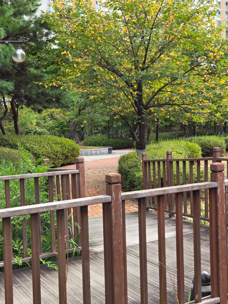 정책지식 2025.9.17. : 네이버 블로그