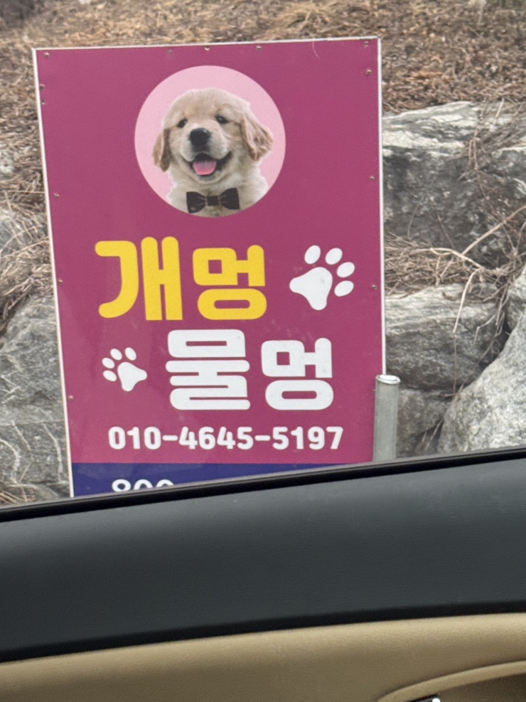 개멍물멍 사진