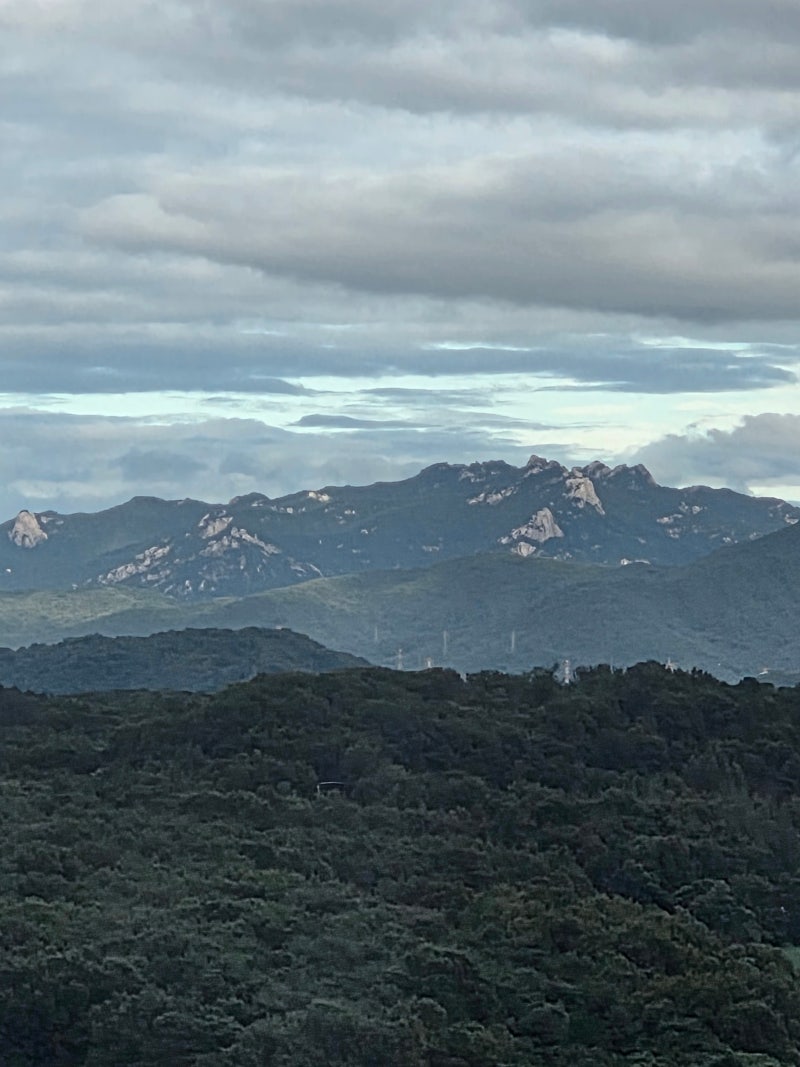 정책지식 2025.9.17. : 네이버 블로그