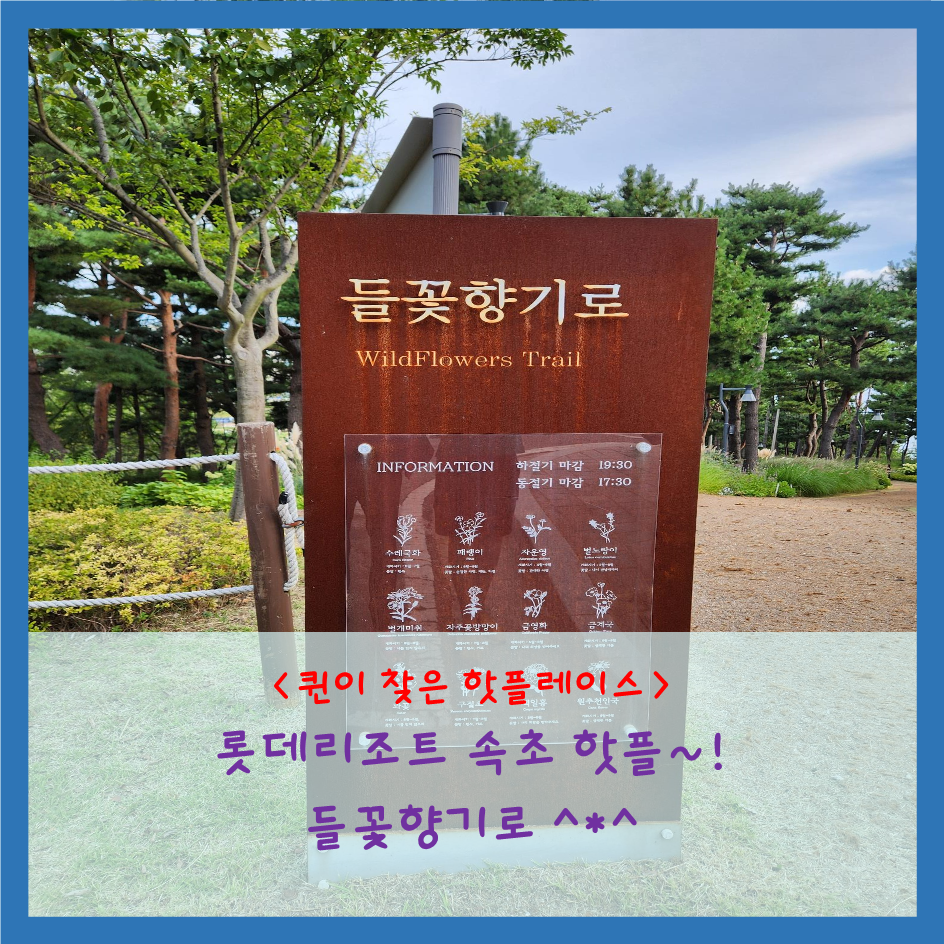 들꽃향기 사진 1