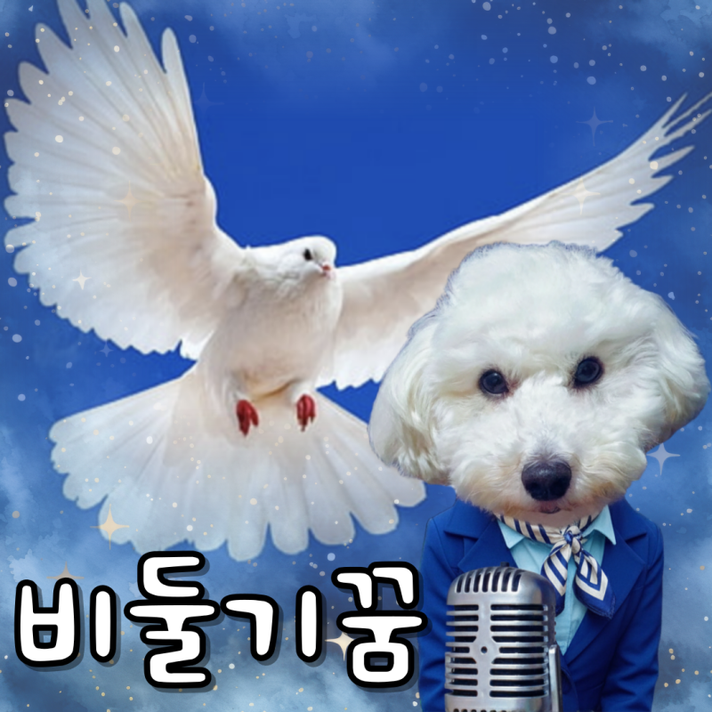 비둘기 나오는 꿈해몽, 사랑 쟁취나 성공 징조?!