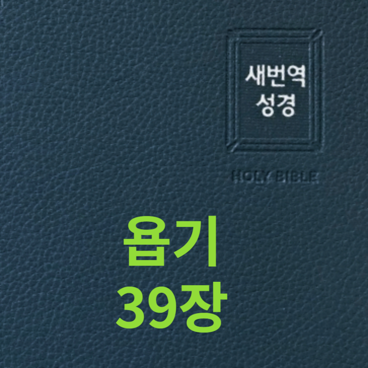  욥기 39장