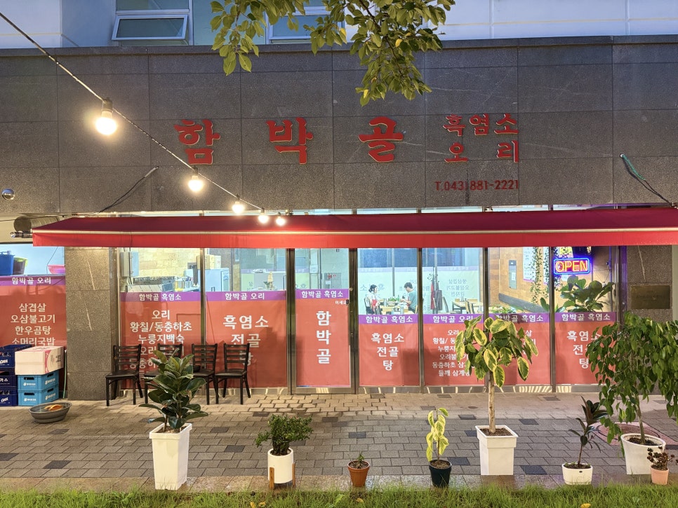 함박골흑염소 사진 2