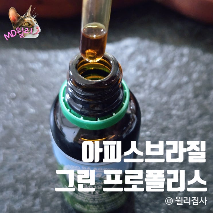  그린 프로폴리스 원액 액상형 아피스브라질 부모님선물 추천