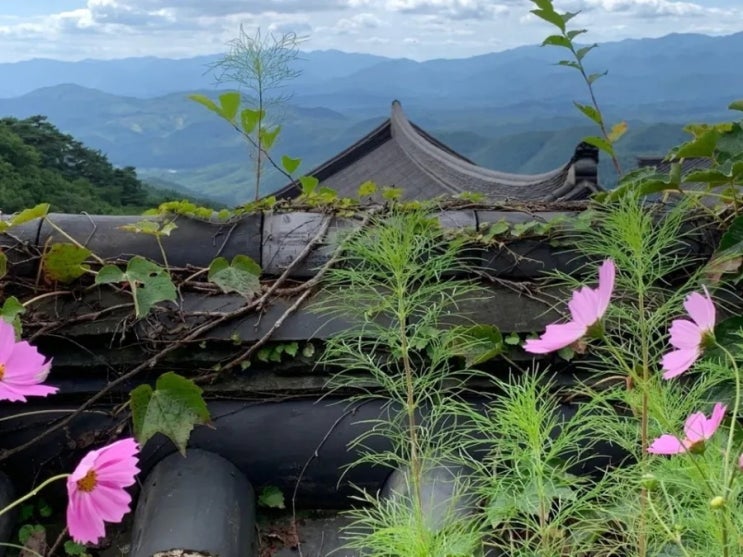백일하에 드러난 검찰의 부도덕한 ‘<b>이화영</b> 수사’  진실은... 