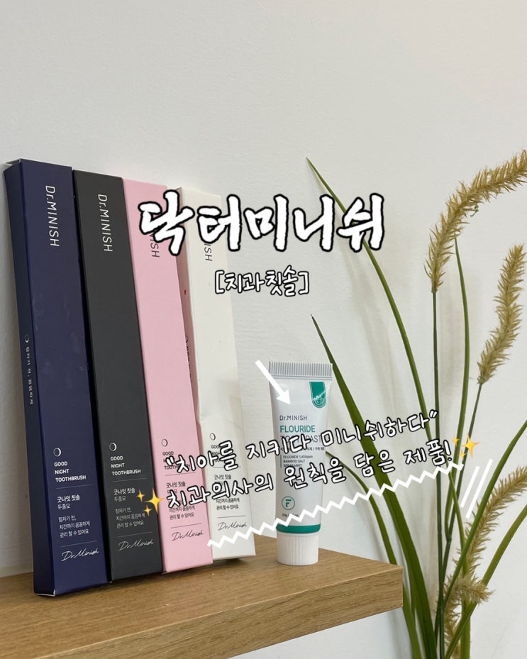  잇몸칫솔 치과의사추천제품 닥터미니쉬 굿나잇칫솔 리얼 후기
