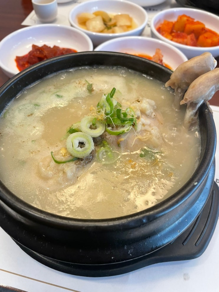  송도맛집 오이삼계탕 송도직영점 방문후기 – 진한 국물과 건강한 보양식의 참맛