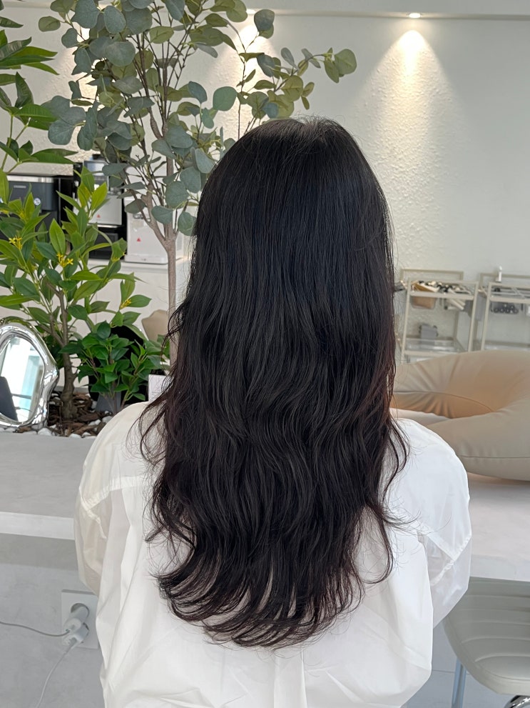  강남구청역 미용실 아뉴헤어 청담본점에서 밀본 클리닉 완성