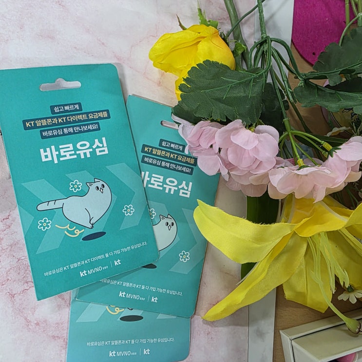  KT유심 파는 곳과 개통방법까지 알아보자.