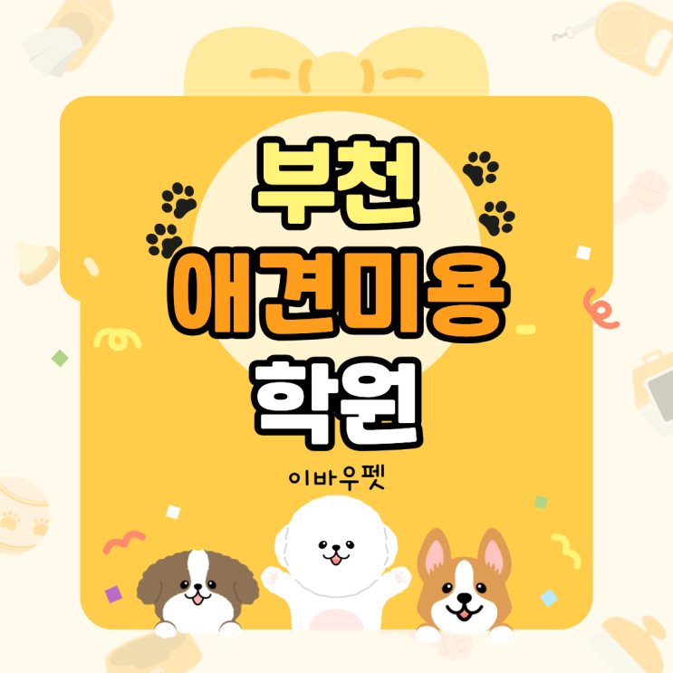  이바우펫 부천애견미용학원, 전문 미용 교육 완전 분석