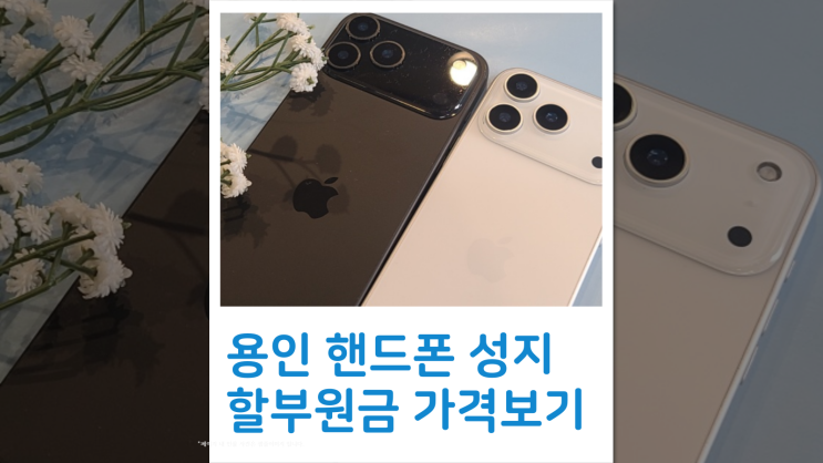  용인 성지 비밀 좌표 핸드폰 할부원금 가격 보기